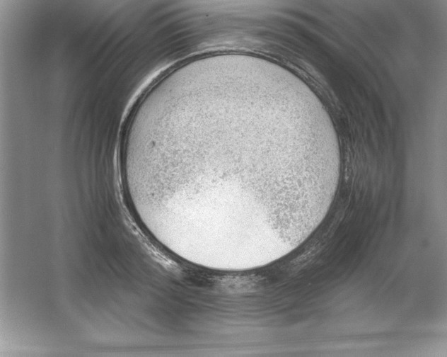 X0000064750796200603031732