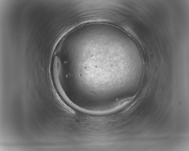 X0000064750797200603031732