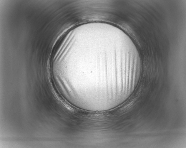 X0000064750798200603031732