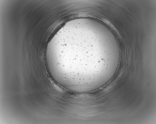 X0000064750801200603031732