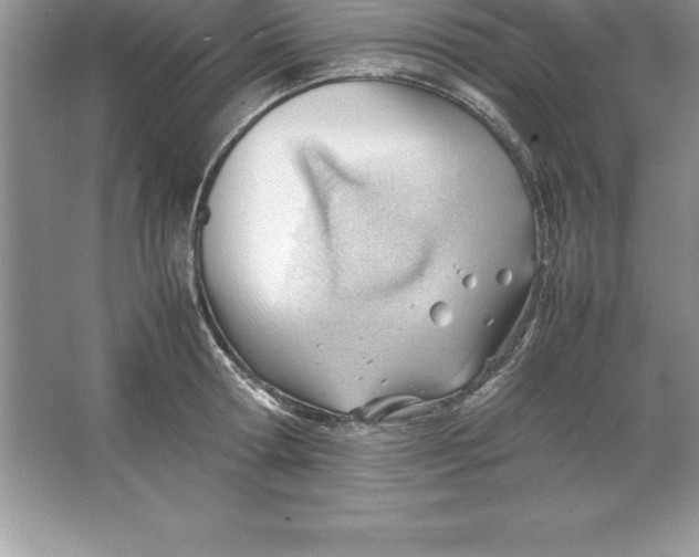 X0000064750802200603031732