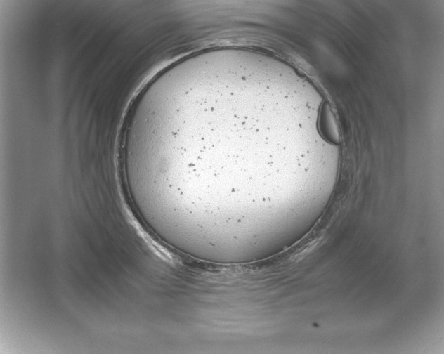 X0000064750803200603031732