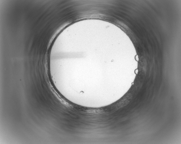 X0000064750804200603031732