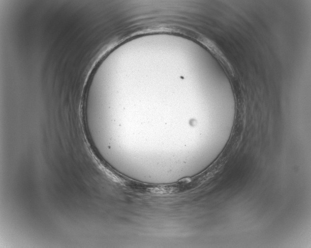 X0000064750805200603031732