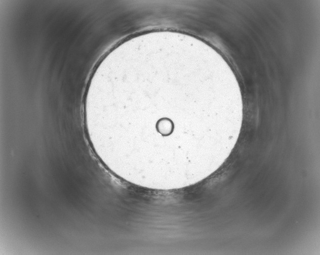 X0000064750807200603031732