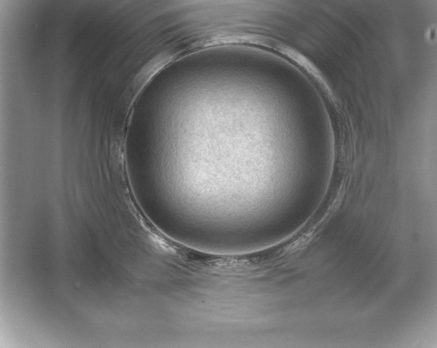 X0000064750809200603031732