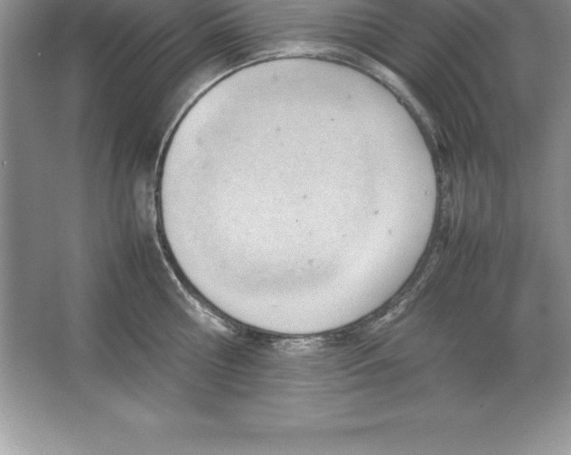 X0000064750810200603031732