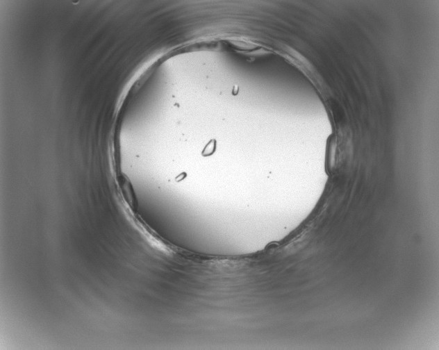 X0000064750812200603031732