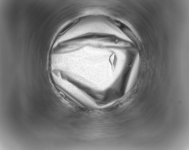 X0000064750815200603031732