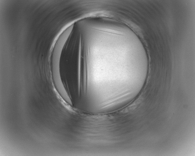 X0000064750816200603031732