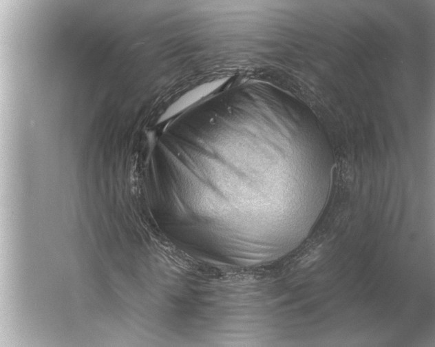 X0000064750818200603031731