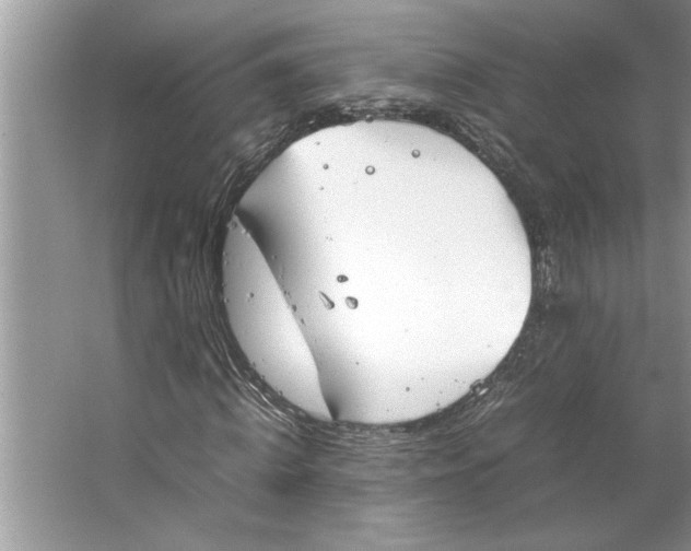 X0000064750820200603031731