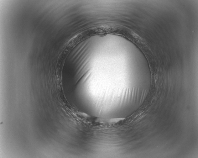 X0000064750822200603031731