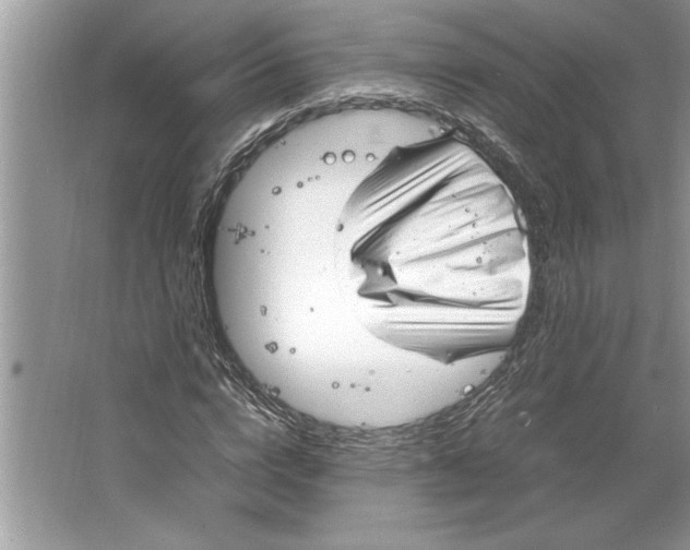 X0000064750824200603031731