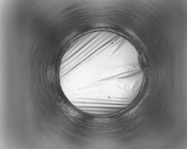 X0000064750825200603031731