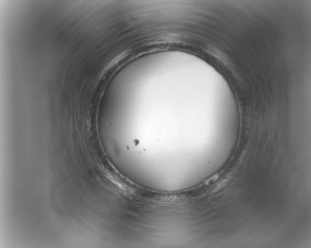 X0000064750826200603031731