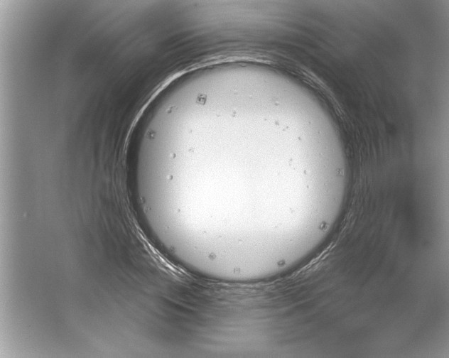 X0000064750828200603031731