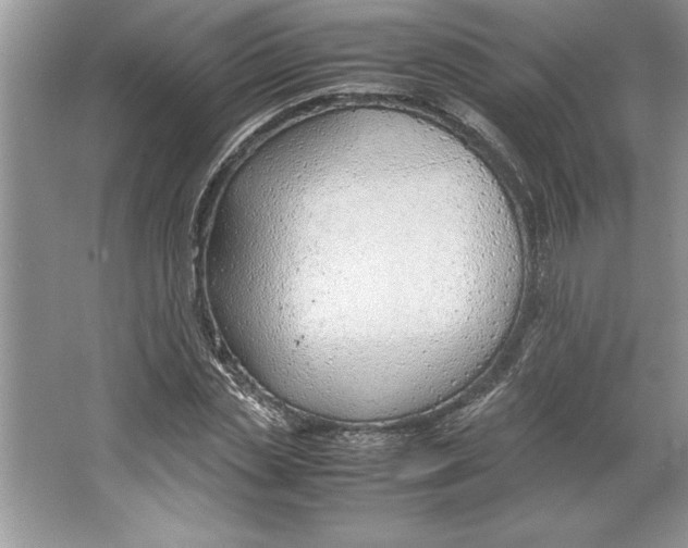 X0000064750829200603031731