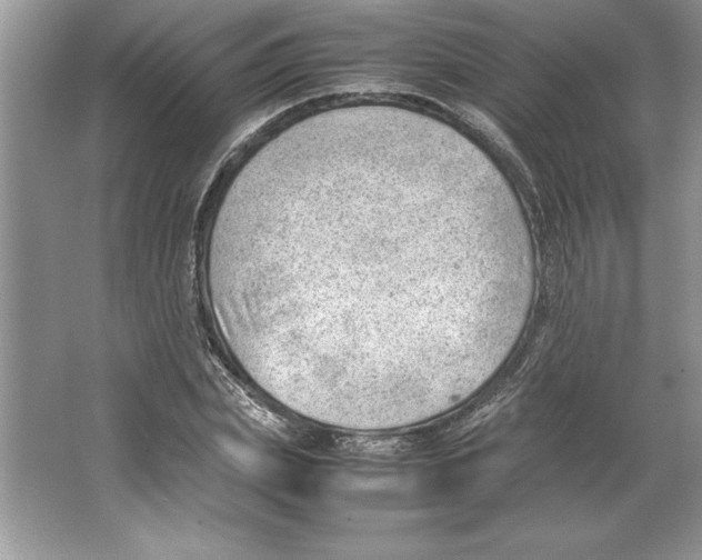 X0000064750831200603031731