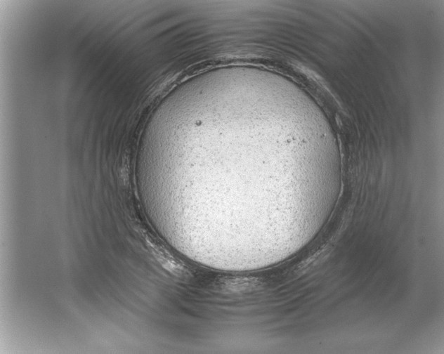 X0000064750833200603031731