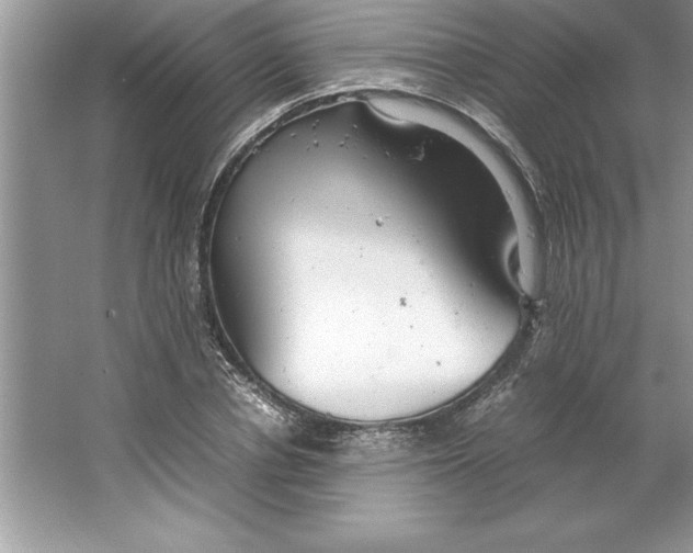 X0000064750834200603031731