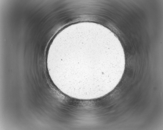 X0000064750836200603031731