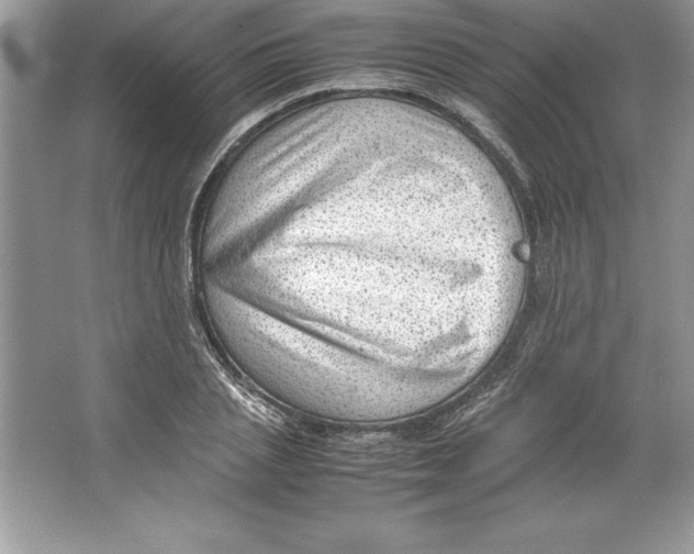 X0000064750837200603031731