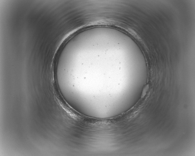 X0000064750838200603031731