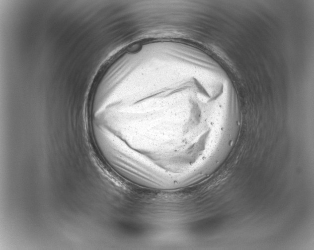 X0000064750840200603031731