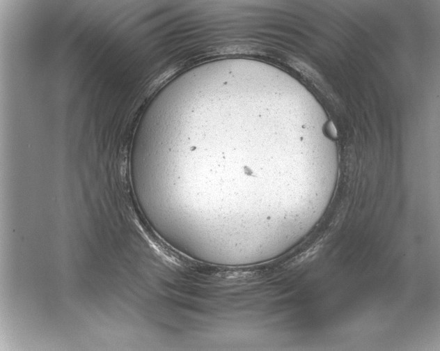 X0000064750841200603031731