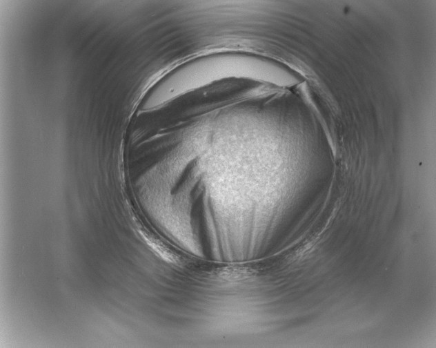 X0000064750842200603031731