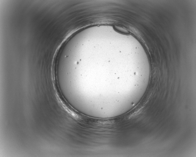 X0000064750843200603031731