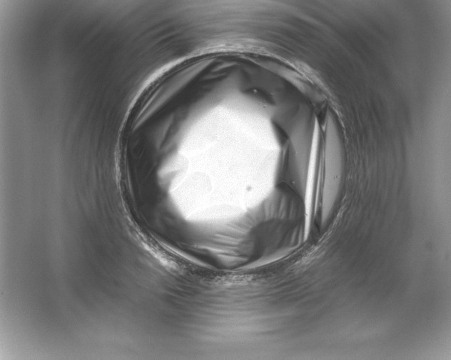 X0000064750846200603031731