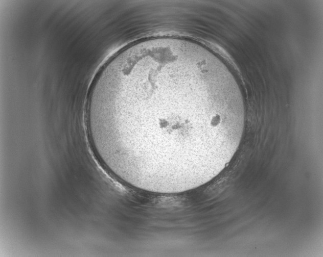 X0000064750847200603031731