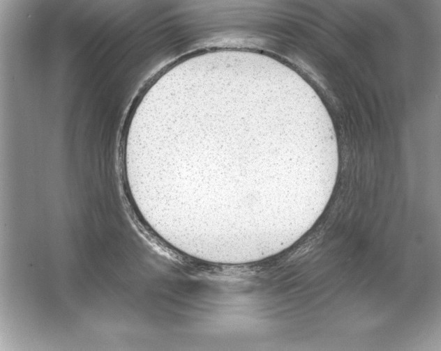 X0000064750848200603031731