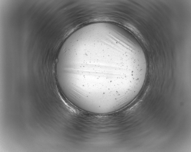 X0000064750849200603031731