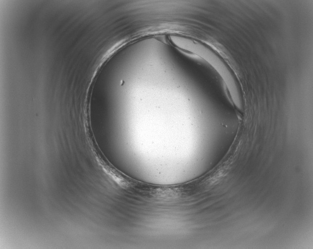 X0000064750850200603031731