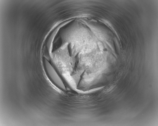 X0000064750851200603031731