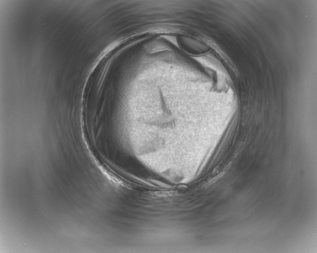 X0000064750853200603031731