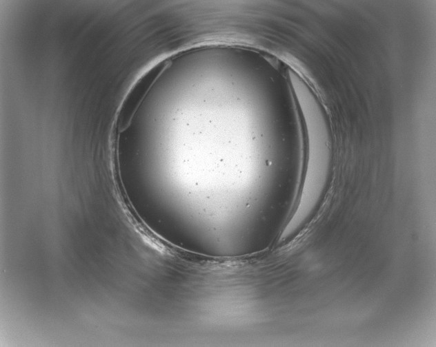 X0000064750854200603031731