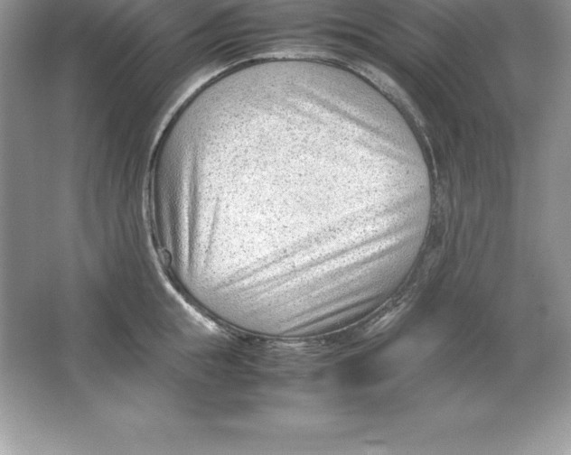 X0000064750855200603031731