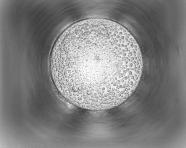 X0000064750856200603031732