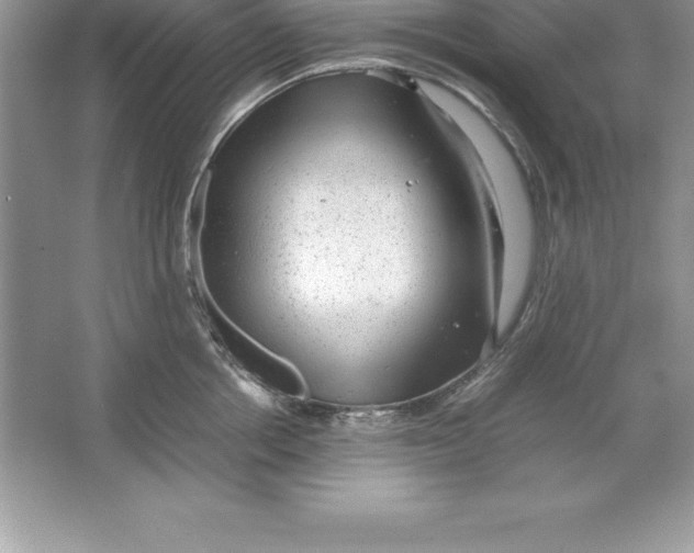 X0000064750858200603031732