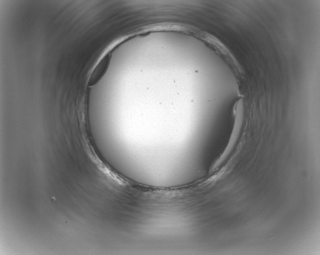 X0000064750860200603031732