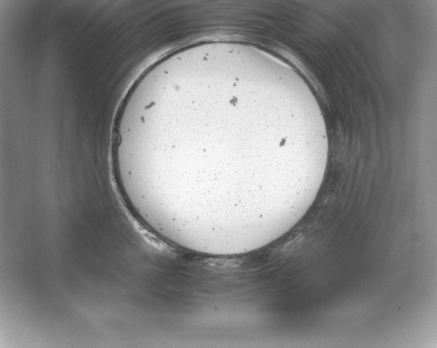 X0000064750861200603031732