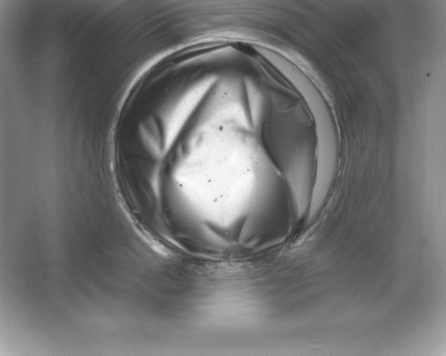 X0000064750862200603031732