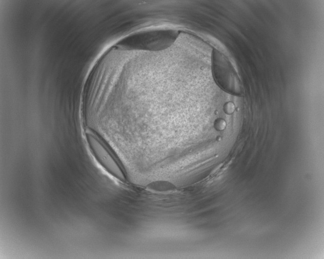 X0000064750863200603031732