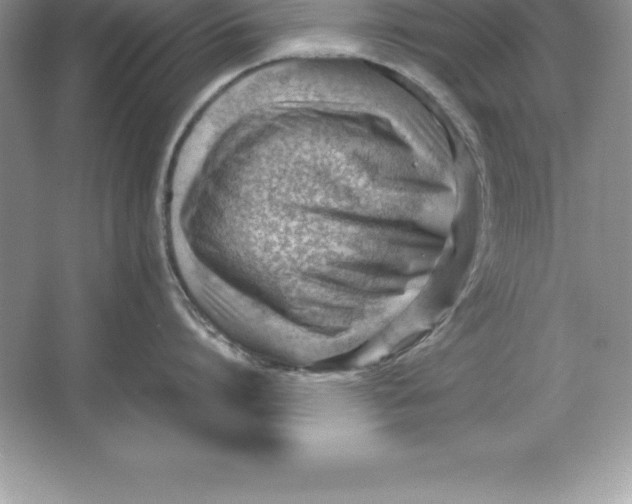 X0000064750864200603031732