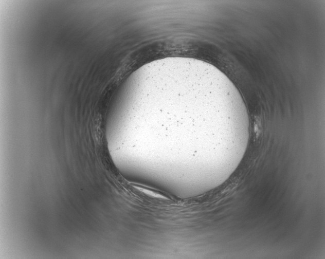 X0000064750867200603031731