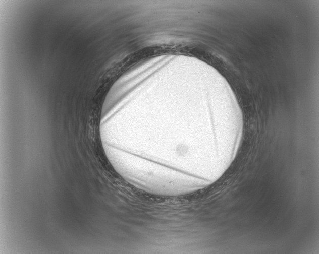 X0000064750869200603031731